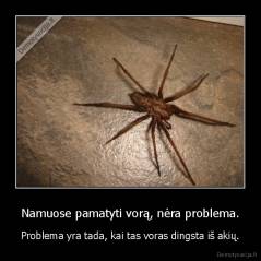 Namuose pamatyti vorą, nėra problema. - Problema yra tada, kai tas voras dingsta iš akių.