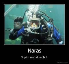 Naras - Grysk i savo dumbla ! 