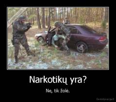 Narkotikų yra? - Ne, tik žolė.
