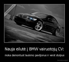 Nauja eilutė į BMW vairuotojų CV: - moka demontuot laukimo paviljonus ir verst stulpus