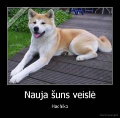Nauja šuns veislė - Hachiko