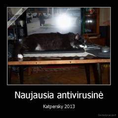 Naujausia antivirusinė - Katpersky 2013