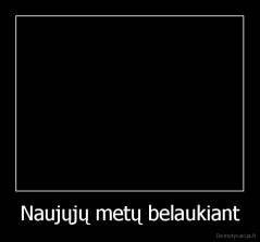 Naujųjų metų belaukiant - 