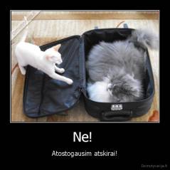 Ne!  - Atostogausim atskirai!