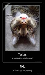 Ne, - aš matau gulintį kebabą.