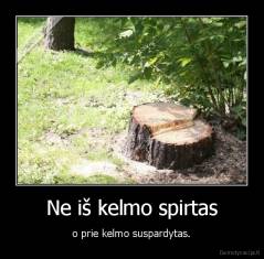 Ne iš kelmo spirtas - o prie kelmo suspardytas.