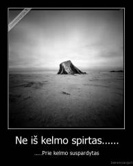 Ne iš kelmo spirtas...... - .....Prie kelmo suspardytas