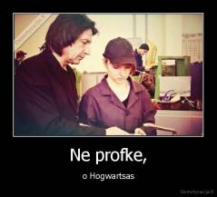 Ne profke, - o Hogwartsas