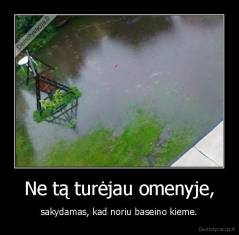 Ne tą turėjau omenyje, - sakydamas, kad noriu baseino kieme.