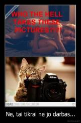 Ne, tai tikrai ne jo darbas... - 