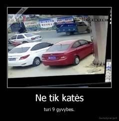 Ne tik katės - turi 9 gyvybes.