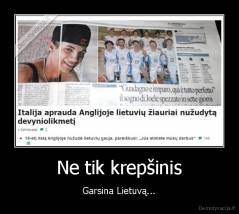 Ne tik krepšinis - Garsina Lietuvą...