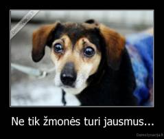 Ne tik žmonės turi jausmus... - 
