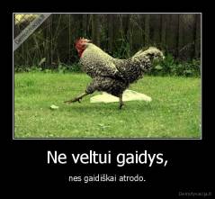 Ne veltui gaidys, - nes gaidiškai atrodo.