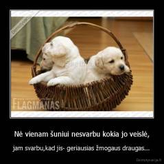 Nė vienam šuniui nesvarbu kokia jo veislė, - jam svarbu,kad jis- geriausias žmogaus draugas...