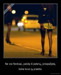 Ne visi feniksai, pakilę iš pelenų, prisipažįsta, - kokia buvo jų praeitis.