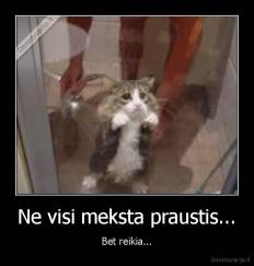 Ne visi meksta praustis... - Bet reikia...