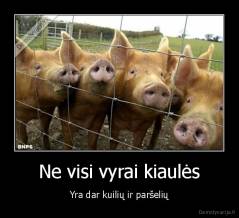 Ne visi vyrai kiaulės - Yra dar kuilių ir paršelių