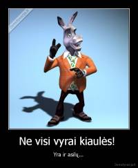 Ne visi vyrai kiaulės!  -  Yra ir asilų... 