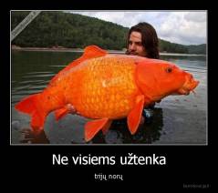 Ne visiems užtenka - trijų norų