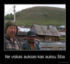 Ne viskas auksas-kas auksu žiba - 