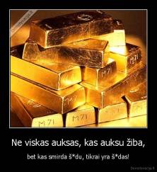 Ne viskas auksas, kas auksu žiba, - bet kas smirda š*du, tikrai yra š*das!