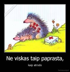 Ne viskas taip paprasta, - kaip atrodo