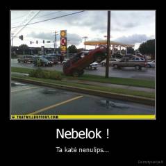 Nebelok ! - Ta katė nenulips...