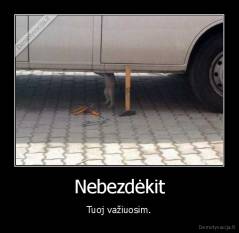 Nebezdėkit - Tuoj važiuosim.