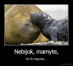 Nebijok, mamyte, - tai tik degutas...