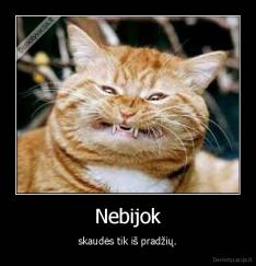 Nebijok - skaudės tik iš pradžių.