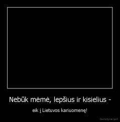 Nebūk mėmė, lepšius ir kisielius - - eik į Lietuvos kariuomenę!