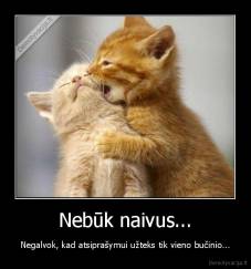 Nebūk naivus... - Negalvok, kad atsiprašymui užteks tik vieno bučinio...