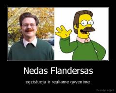 Nedas Flandersas - egzistuoja ir realiame gyvenime