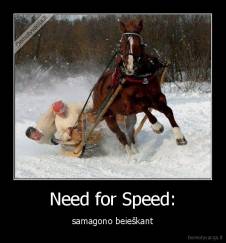 Need for Speed: - samagono beieškant