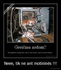 Neee, tik ne ant motininės !!! - 