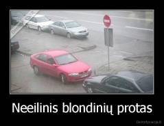 Neeilinis blondinių protas - 