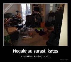 Negalėjau surasti katės - tai nufotkinau kambarį su blicu.