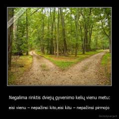 Negalima rinktis dviejų gyvenimo kelių vienu metu: - eisi vienu – nepažinsi kito,eisi kitu – nepažinsi pirmojo