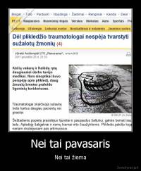 Nei tai pavasaris - Nei tai žiema