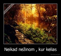 Neikad nežinom , kur kelias - 