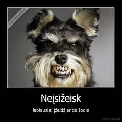 Neįsižeisk - labiausiai įžeidžiantis žodis