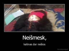 Neišmesk, - katinas dar nešios