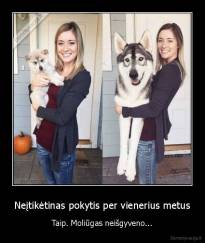 Neįtikėtinas pokytis per vienerius metus - Taip. Moliūgas neišgyveno...