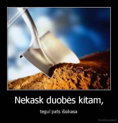 Nekask duobės kitam, - tegul pats išsikasa