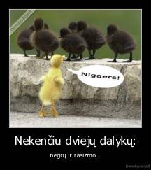 Nekenčiu dviejų dalykų: - negrų ir rasizmo...