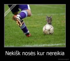 Nekišk nosės kur nereikia - 