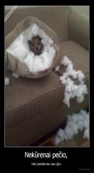 Nekūrenai pečio,  - tad pasidariau sau iglu 