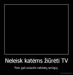 Neleisk katėms žiūrėti TV - Poto gali sulaukti netikėtų smūgių 
