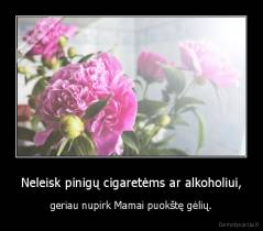 Neleisk pinigų cigaretėms ar alkoholiui, - geriau nupirk Mamai puokštę gėlių.